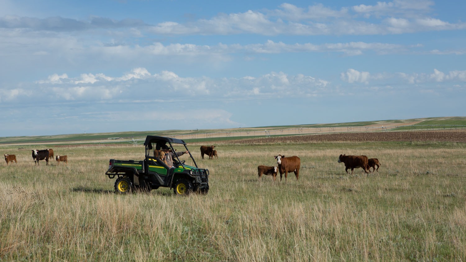Wyoming Ranching Family, the Lerwick Family