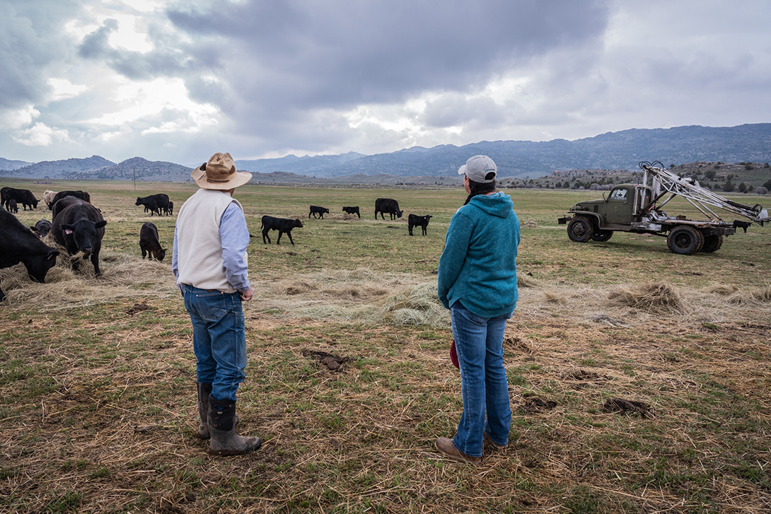 Atkinson Land & Livestock