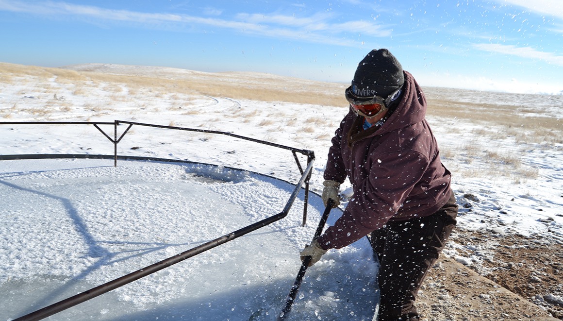 Wyoming Ranching Family, the Eisele-Roberts Family