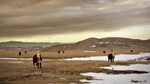 Wyoming Ranching Family, the Graves family