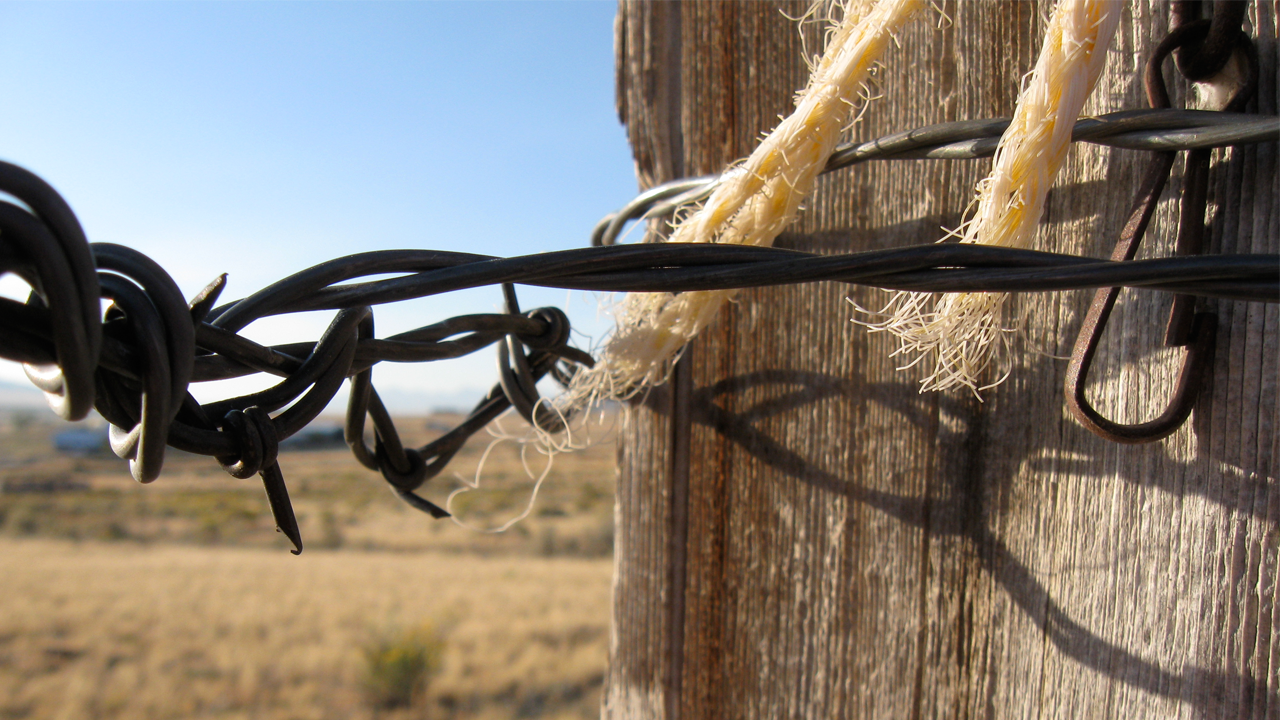 Barbed wire wrapped around fence post